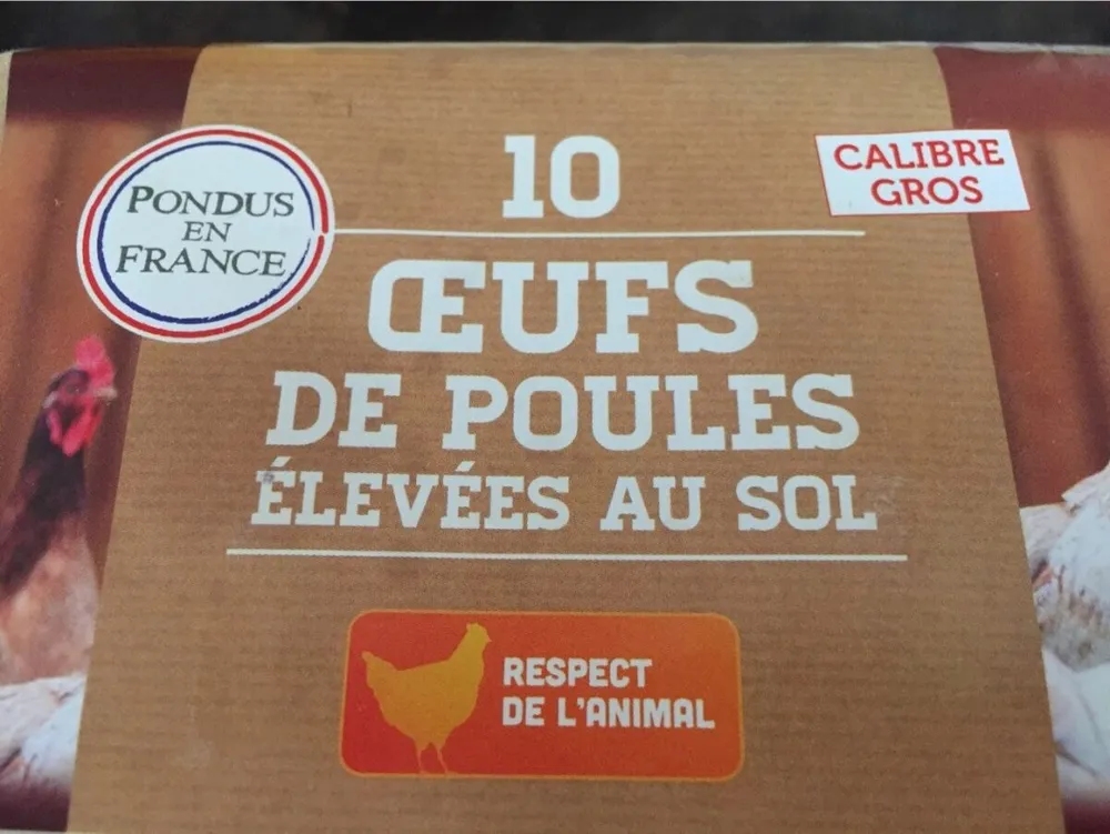 10 oeufs de poules élevées au sol