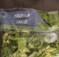 Laitue aux fines herbes