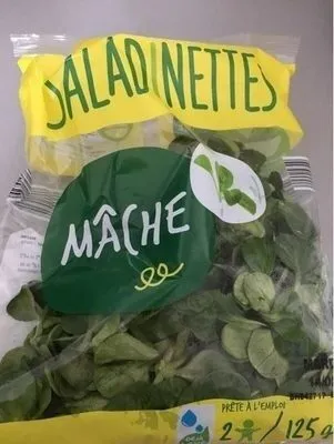 Mâche