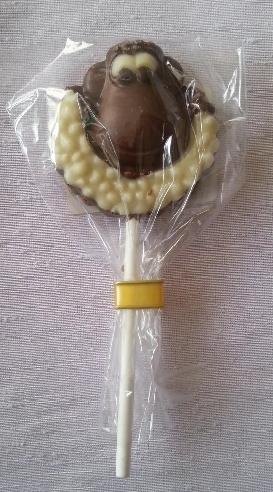 Sucette en Chocolat au Lait Décoré