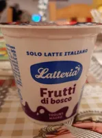 Yogurt magro  Frutti di bosco