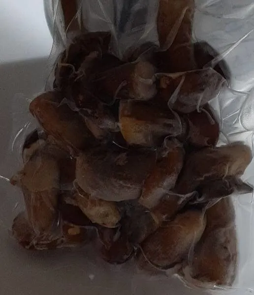Funghi porcini interi