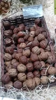 Noix fraîches du Sud-Ouest