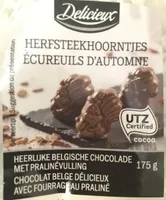 Ecureuils d'Automne