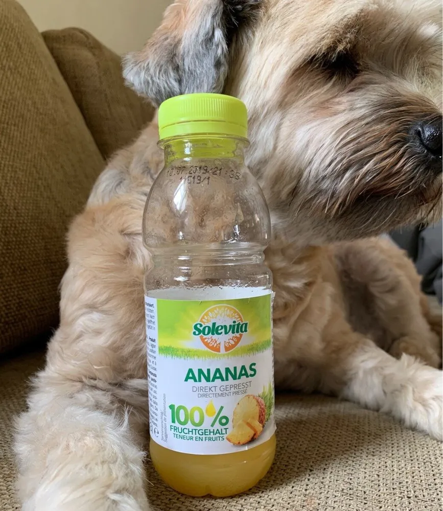 Jus d'ananas