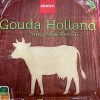 Gouda Holland Jung