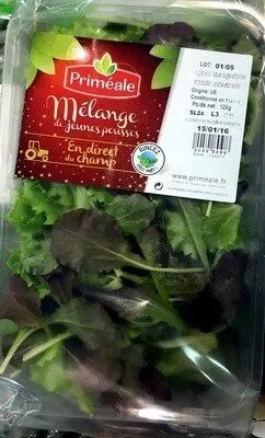 Salate Mix