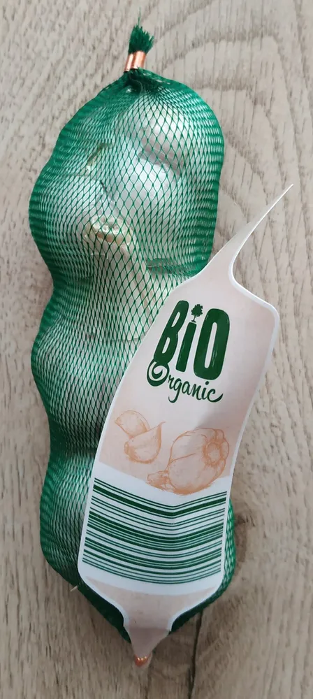 Garlic