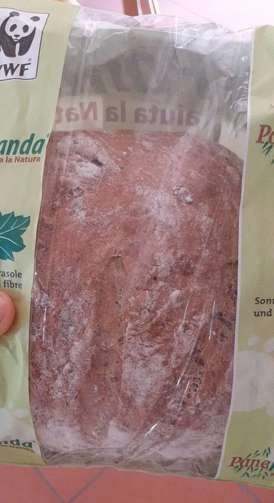 Pane panda