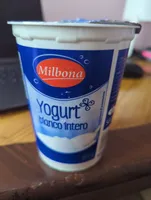 Yogurt bianco intero