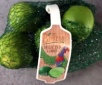 Citron vert