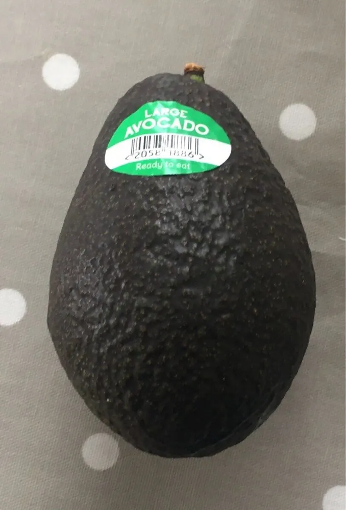 Large Avocado