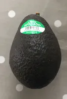 Large Avocado