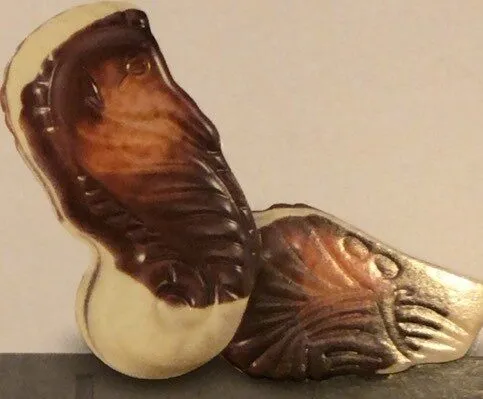 Seashells