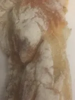 Fougasse olives