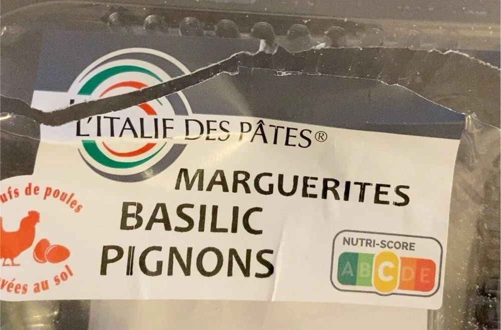 Marguerites basilic pignons