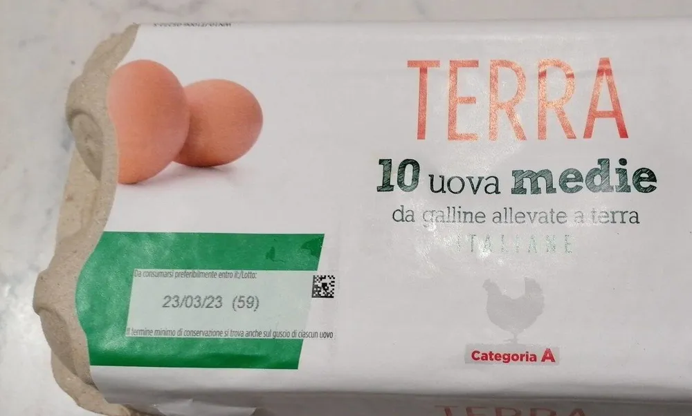 Uova medie