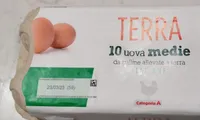 Uova medie