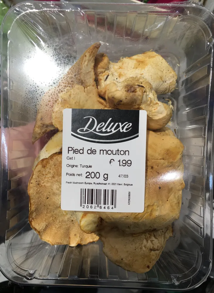 Pied de mouton