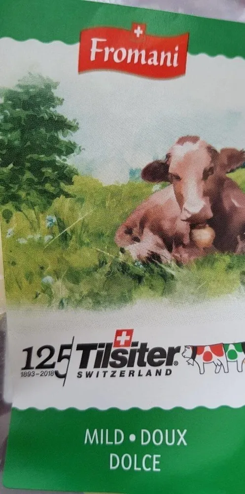 Tilsiter