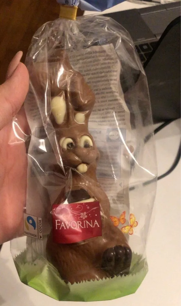coniglio pasquale