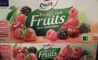 Yaourt aux fruits rouges