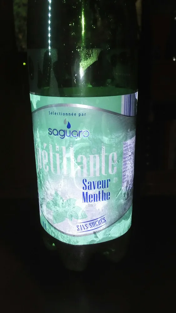Eau pétillante saveur menthe