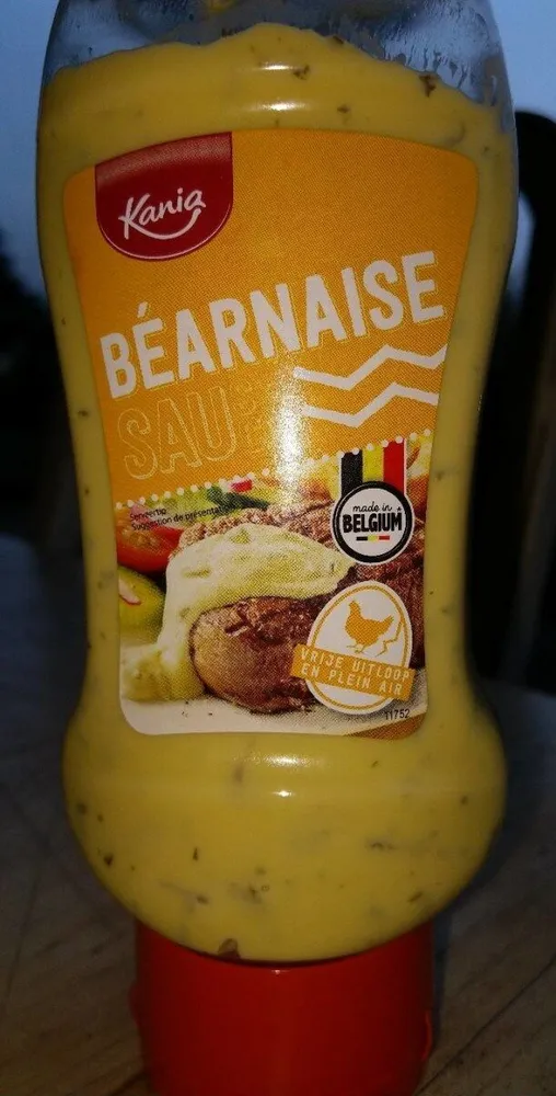 Sauce Béarnaise Saus