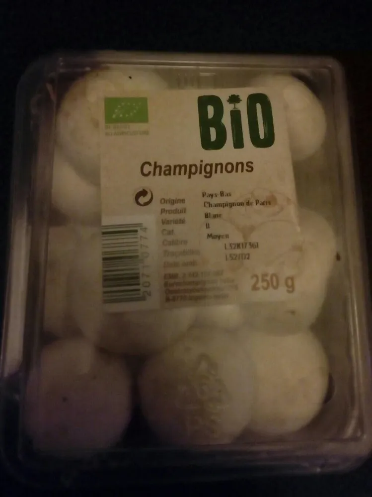 Champignons Bio