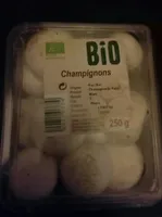 Champignons Bio