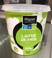 Laitue de Mer