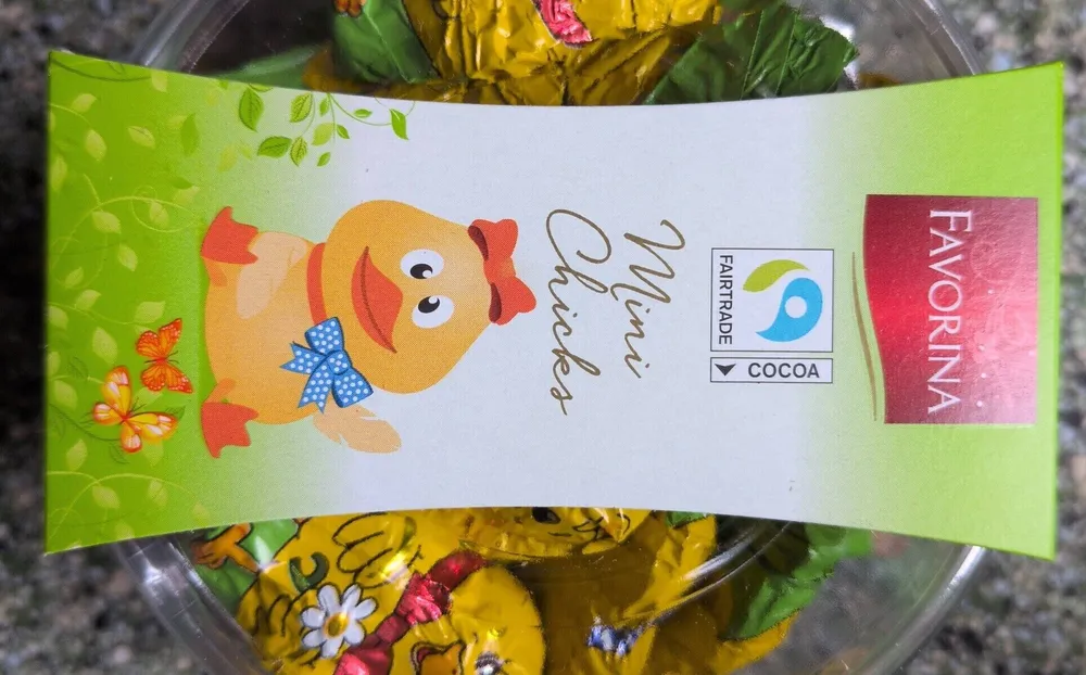 Mini Chicks chocolate