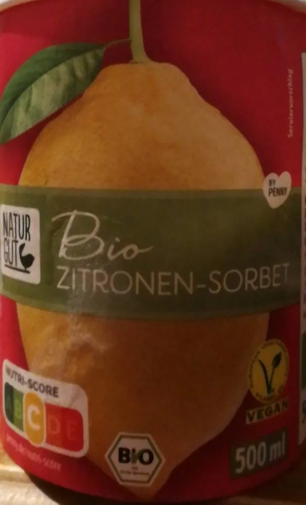 Bio Zitronen-Sorbet