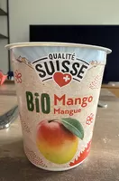 Bio yogourt Mangue