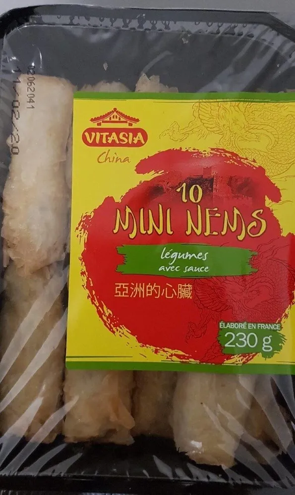Mini nems légumes
