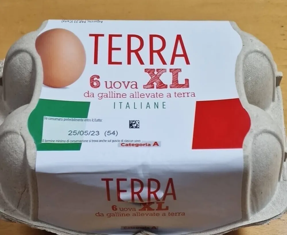 6 uova XL da galline allevate a yerra