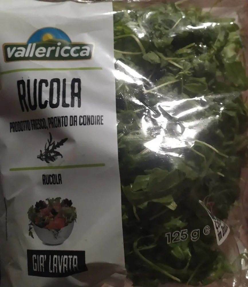 Rucola