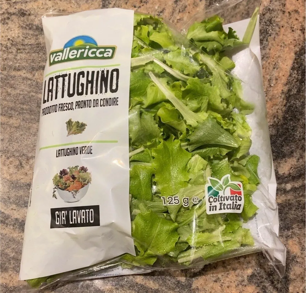 Lattughino