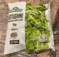 Lattughino