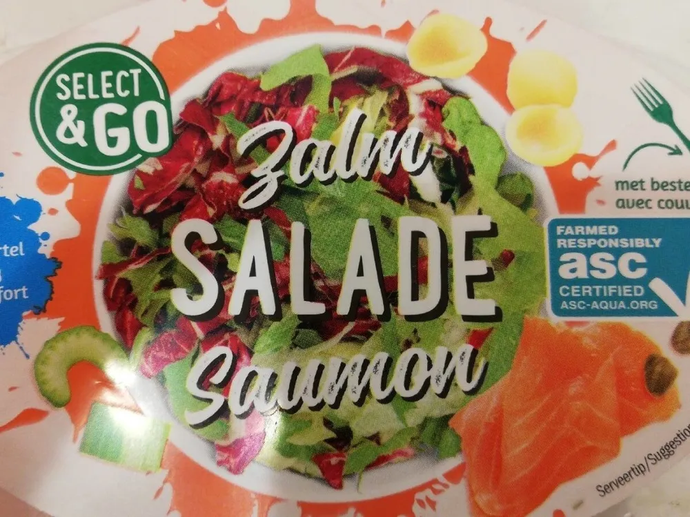 Salade repas au pâtes saumon