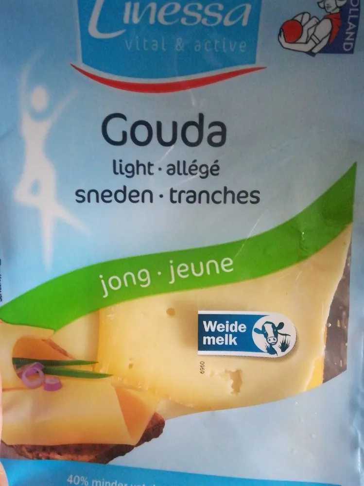 Gouda