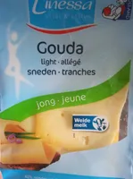 Gouda