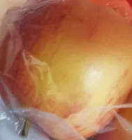 Gala apples