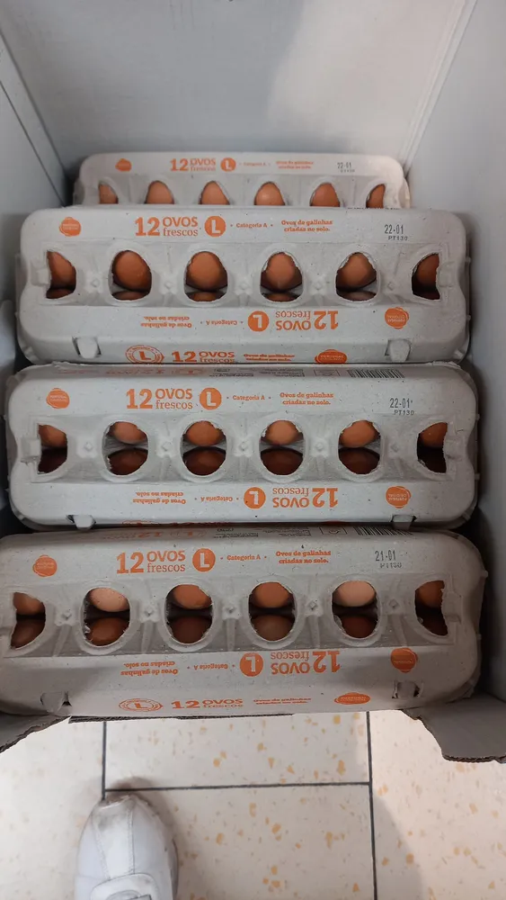 12 OVOS frescos L