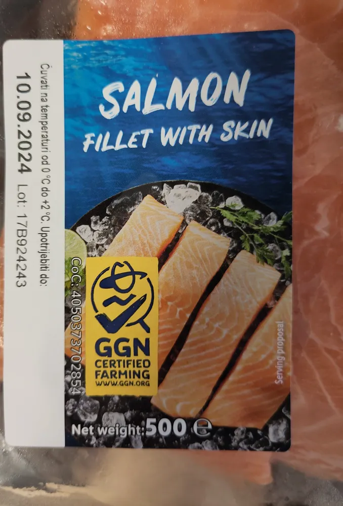 salmon fillet with skin