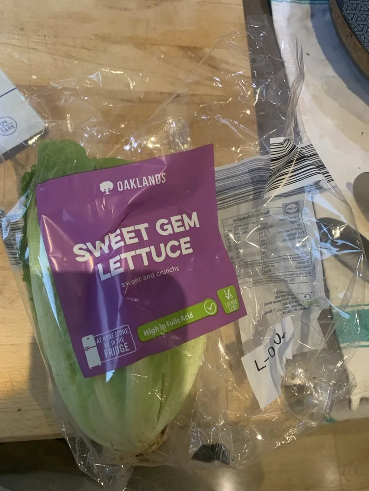 Sweet Gem Lettuce