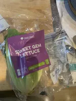 Sweet Gem Lettuce