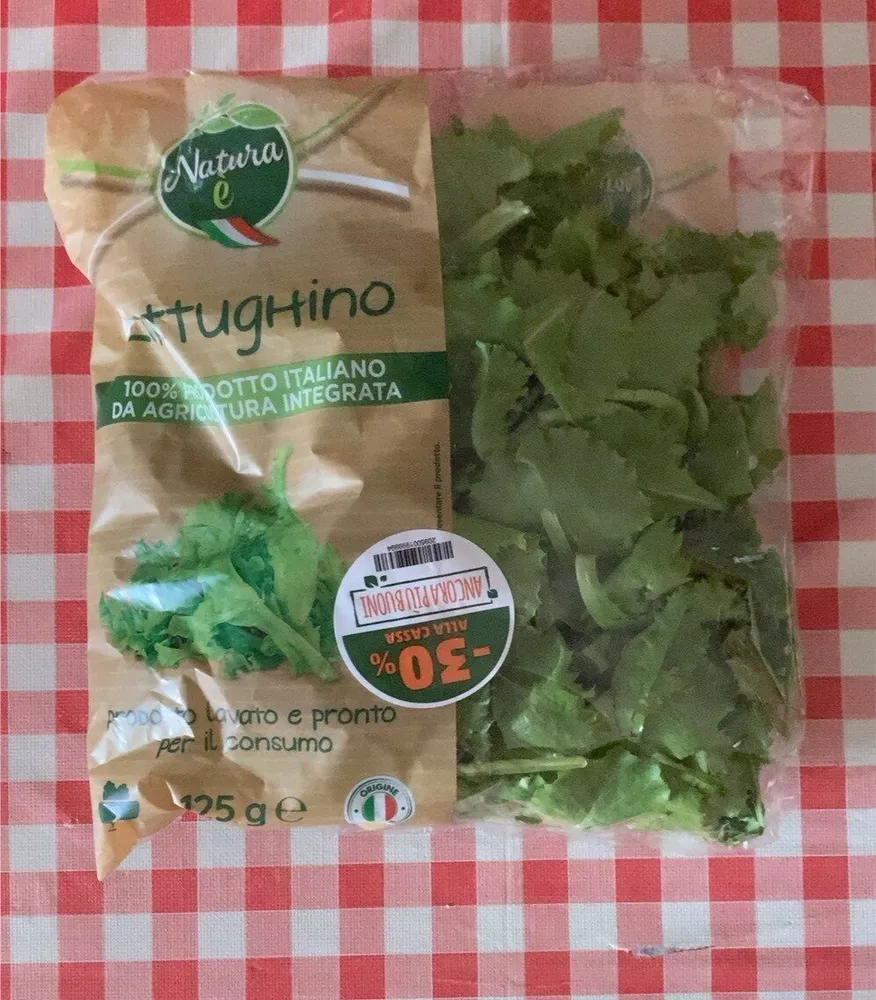 Lattughino