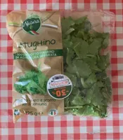Lattughino
