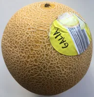 Melon jaune